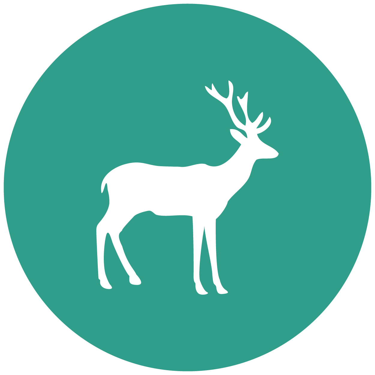 Vetmed website icons_deer Vetmed website icons_deer
