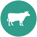 con_cattle-75