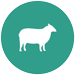 icon_sheep-75