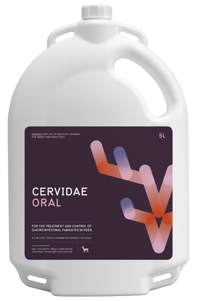 Cervidae Oral