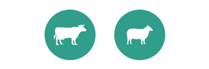 cattle-sheep